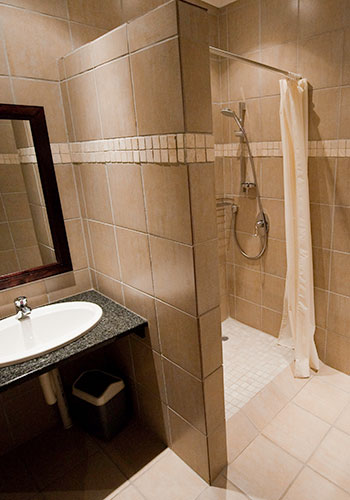 cornerhouse_on_conan_room_5_(bathroom)